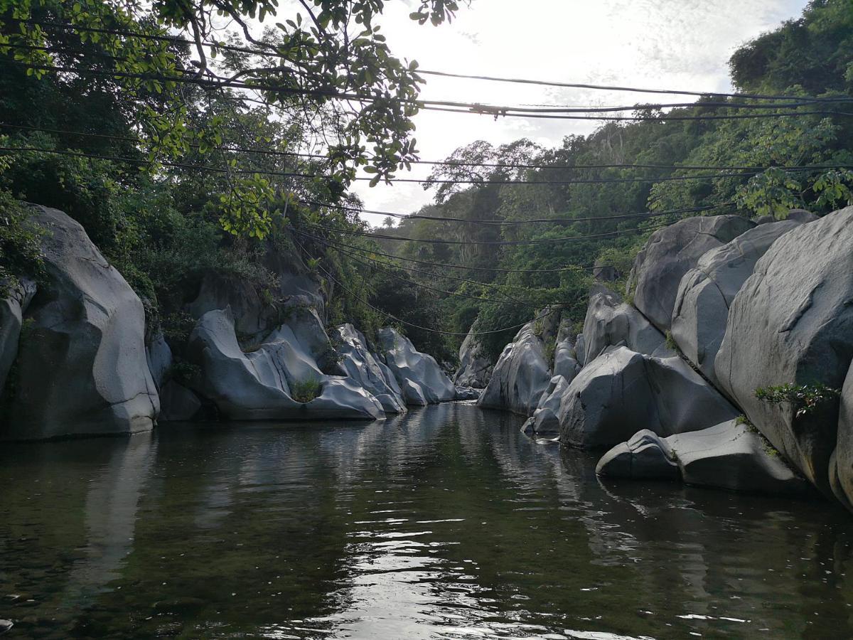 Hostal Mama Tayrona Calabazo  Екстер'єр фото